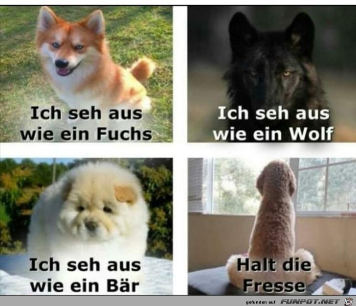 ich seh aus ich seh aus