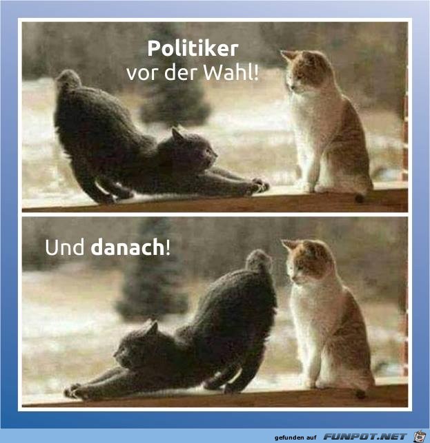 politiker vor der Wahl politiker vor der Wahl