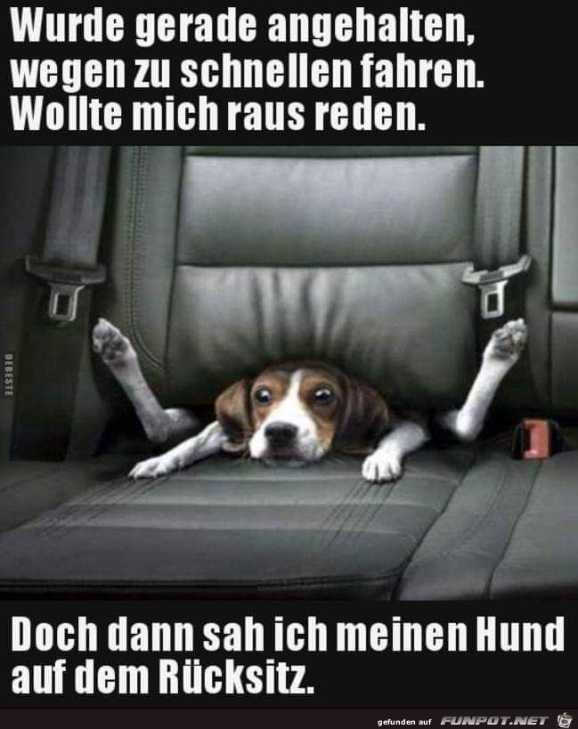wurde gerade angehalten wurde gerade angehalten