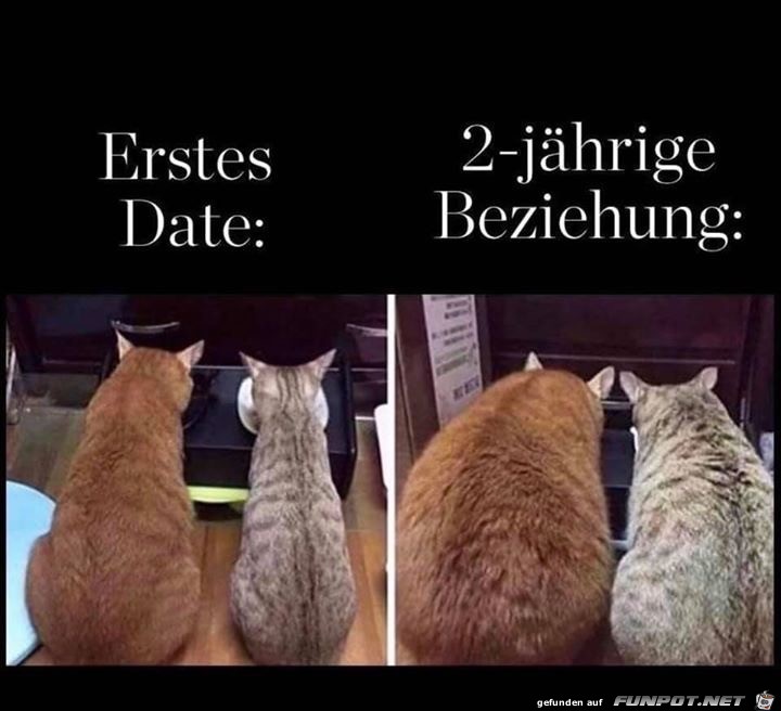 Date Date
