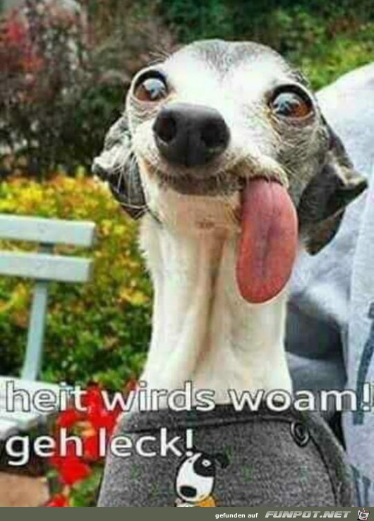 heit wirds warm heit wirds warm