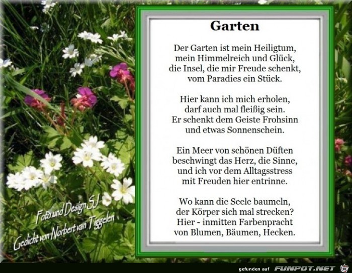 Garten 2019