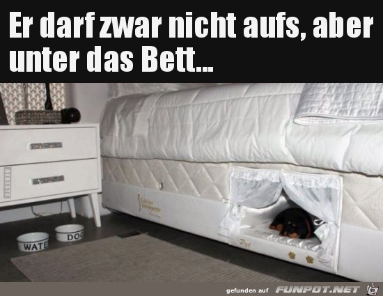 Ist ja putzig Ist ja putzig