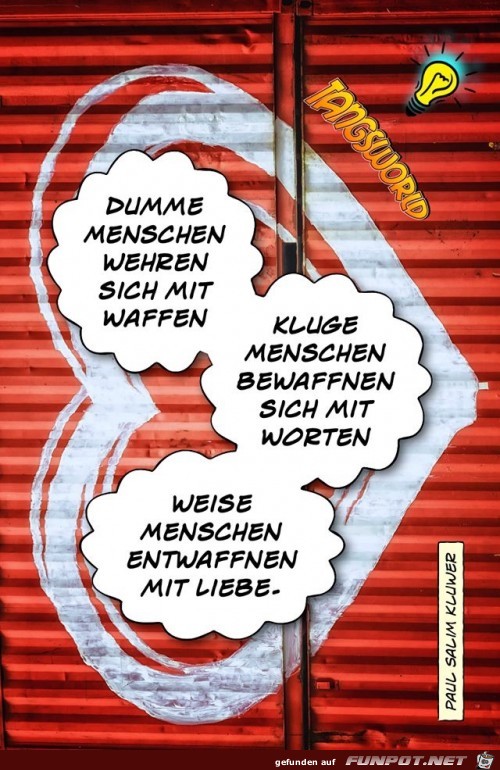 dummer menschen dummer menschen
