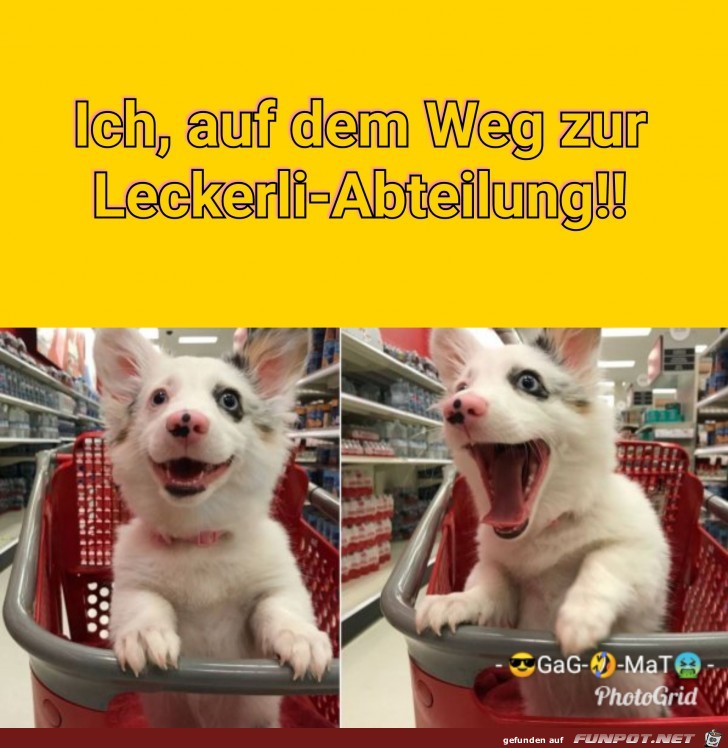 LeckerLeckerLecker LeckerLeckerLecker