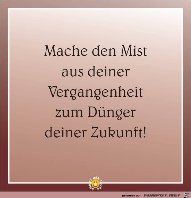 mach den mist mach den mist