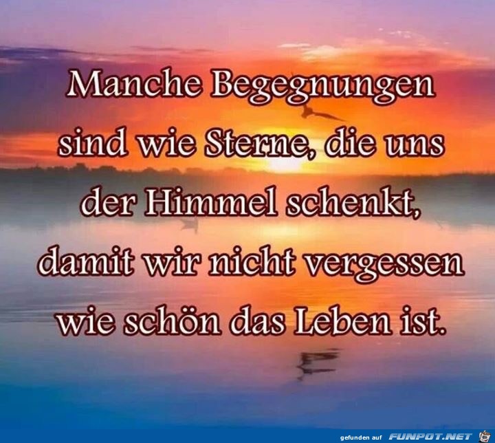 manche begegnungen manche begegnungen