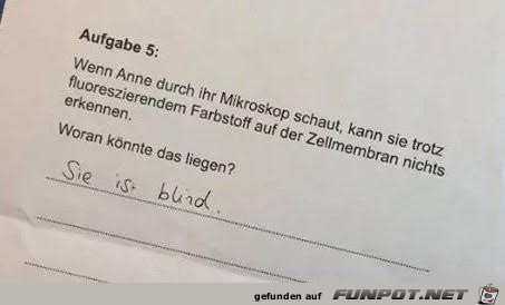 Blind Blind