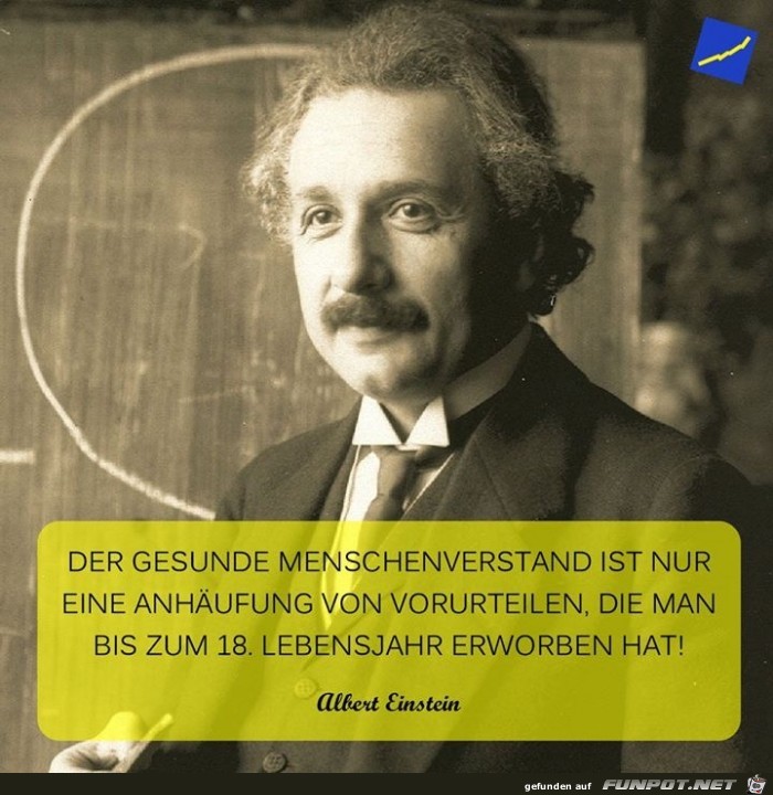 der gesunde menschenverstand der gesunde menschenverstand