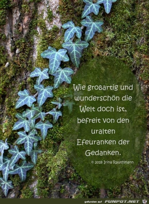 wie grossartig wie grossartig