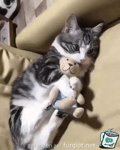 das ist mein Teddy das ist mein Teddy