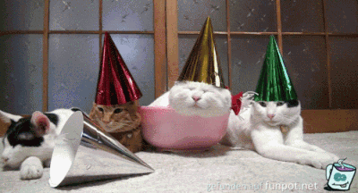 Harte Party Harte Party