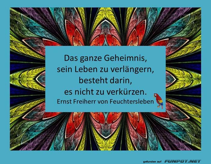 Das ganze Geheimnis 1 Das ganze Geheimnis 1