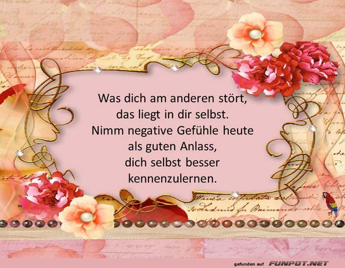 Was dich am anderen stoert Was dich am anderen stoert