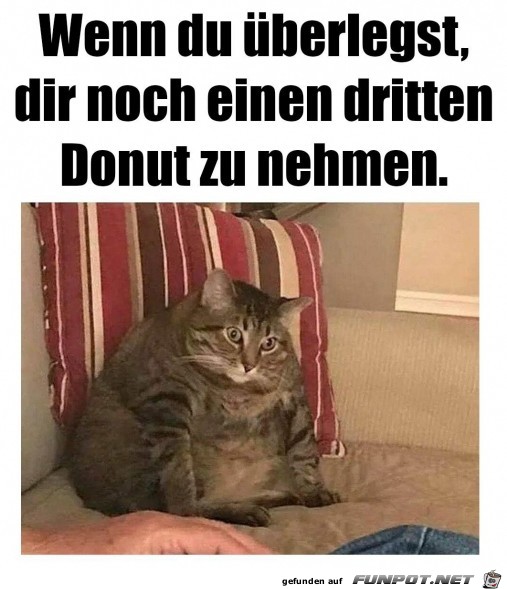 Das ist die berlegung