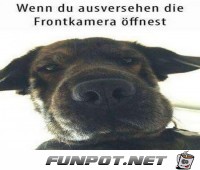 Ausversehen Ausversehen