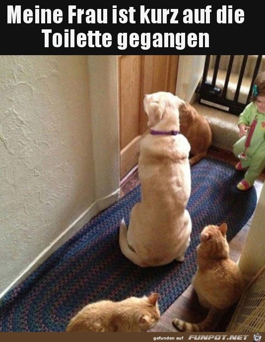 Alle warten Alle warten
