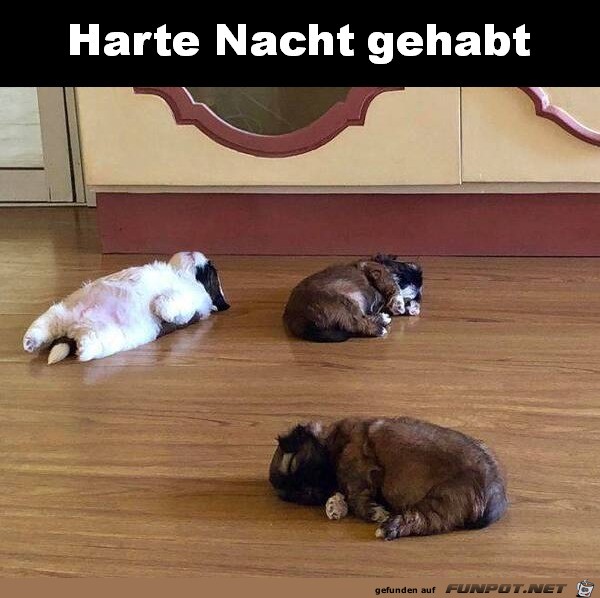 Harte Nacht Harte Nacht