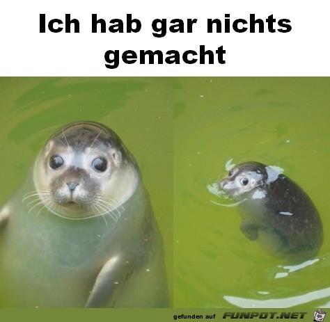 Unschuldig Unschuldig