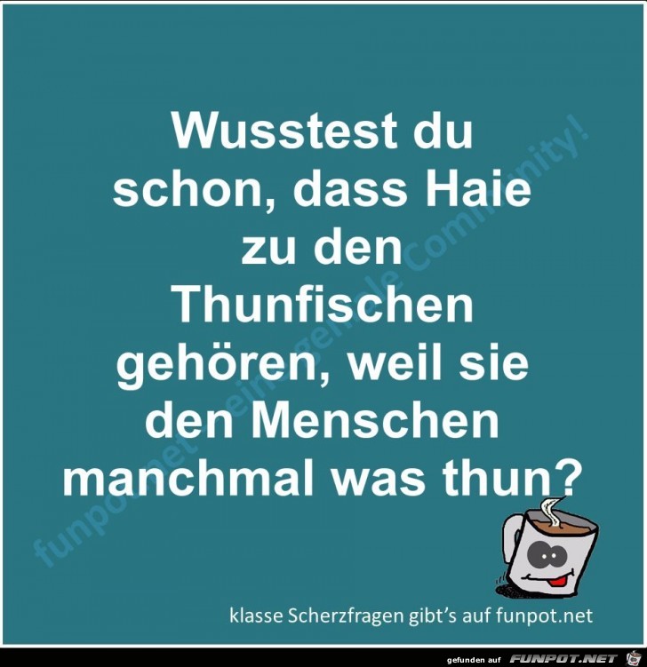 Scherzfrage Scherzfrage