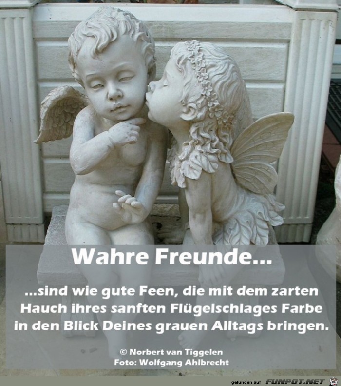 Wahre Freunde 2019 Wahre Freunde 2019