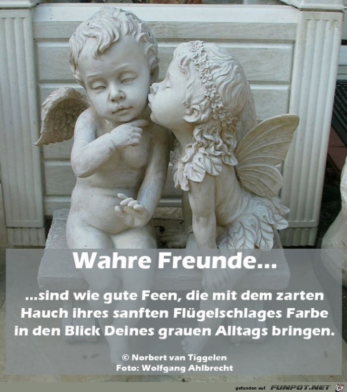 Wahre Freunde 2019