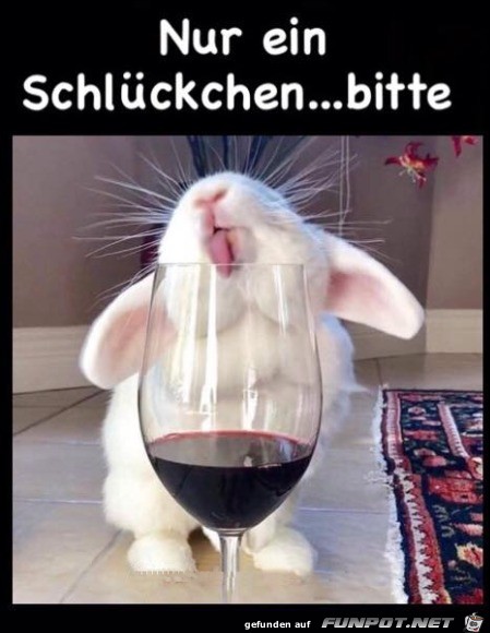 Nur ein Schluck Nur ein Schluck