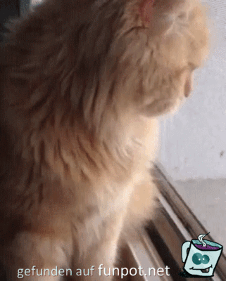 High Five High Five
