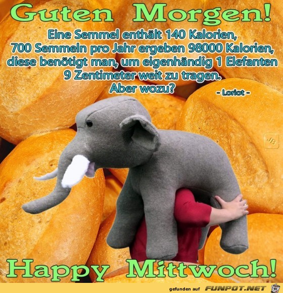 Mittwoch Mittwoch