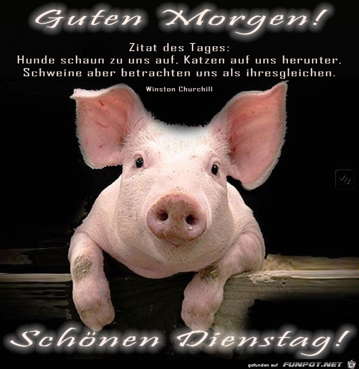 Dienstag Dienstag