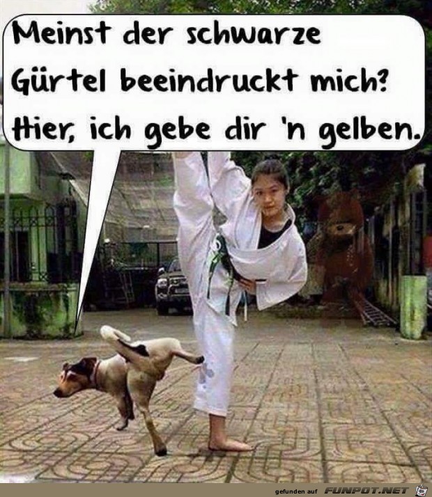 Das kann ich auch Das kann ich auch