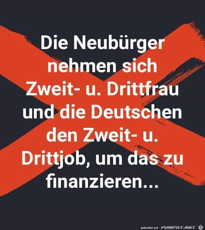 Neubuerger Neubuerger