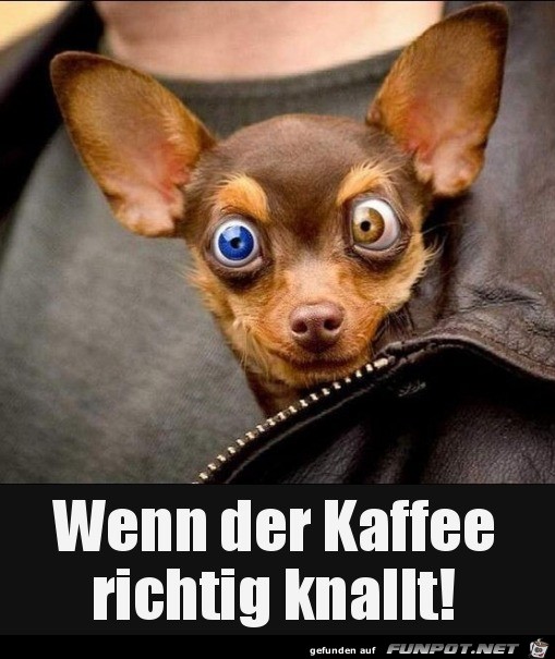 Starker Kaffee