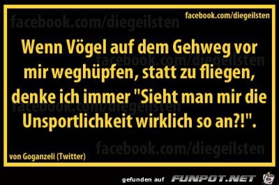 Vögel Vögel