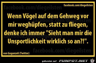 Vgel