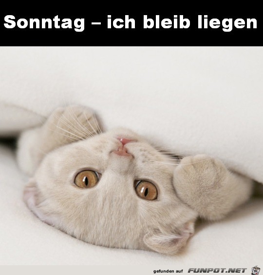 Sonntag Sonntag