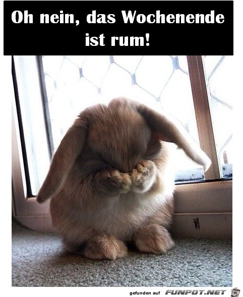 Wochenende ist rum