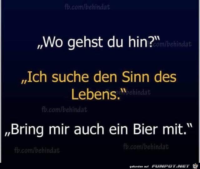 Sinn Sinn
