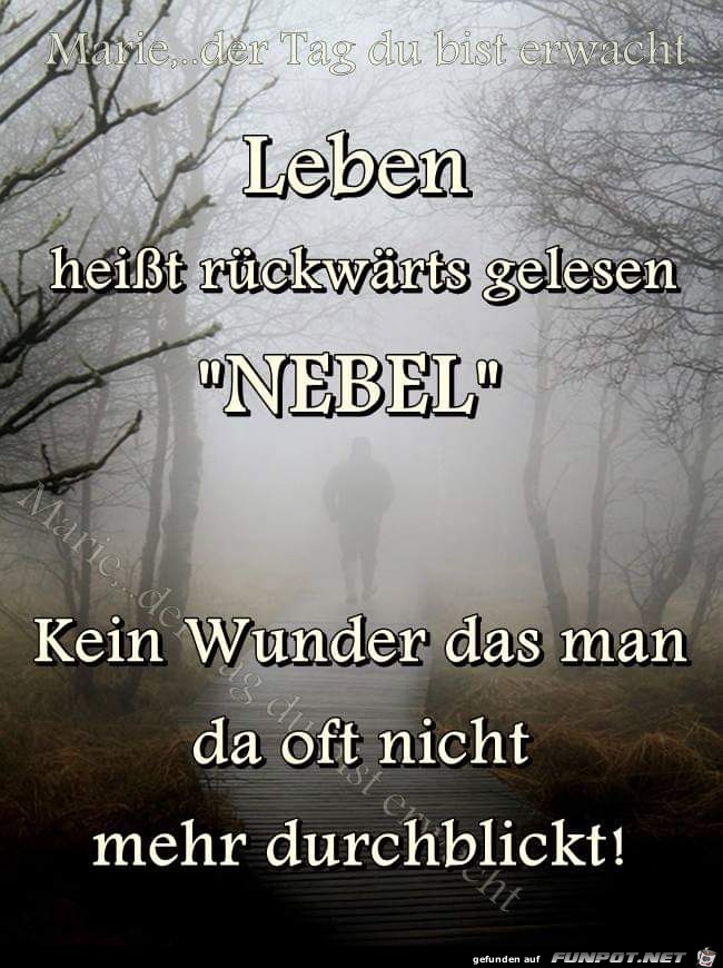 Nebel Nebel