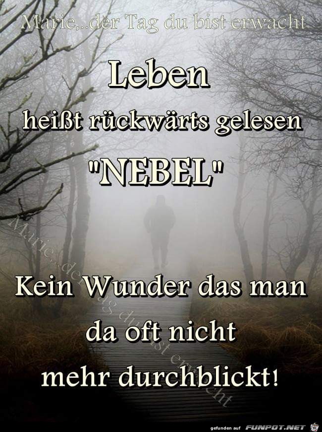 Nebel