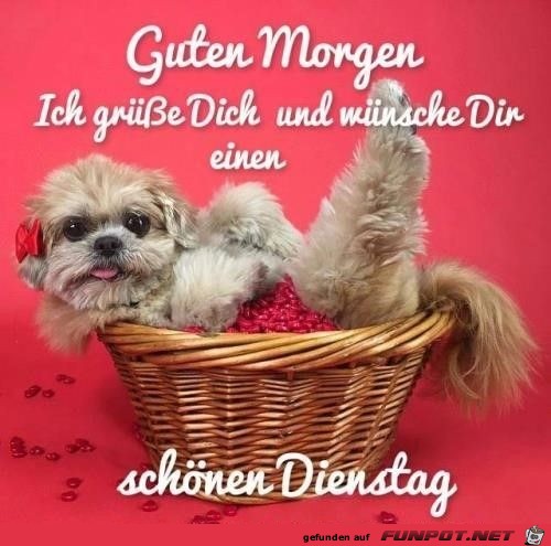 Dienstag Dienstag