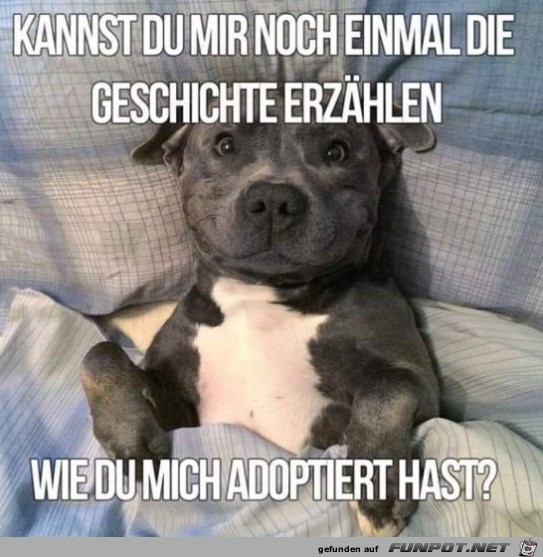 Die Geschichte Die Geschichte