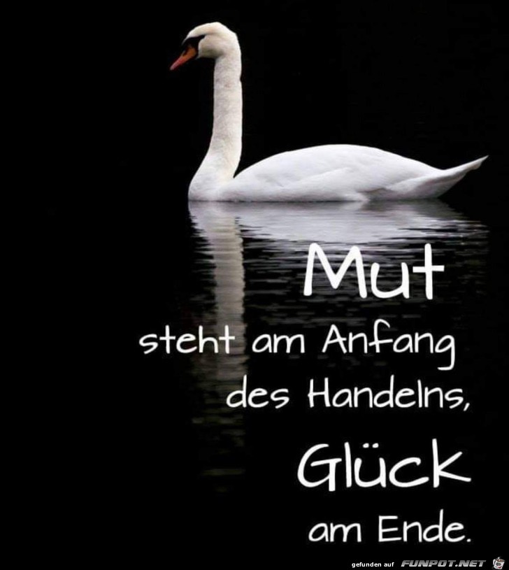 mut steht am Anfang mut steht am Anfang