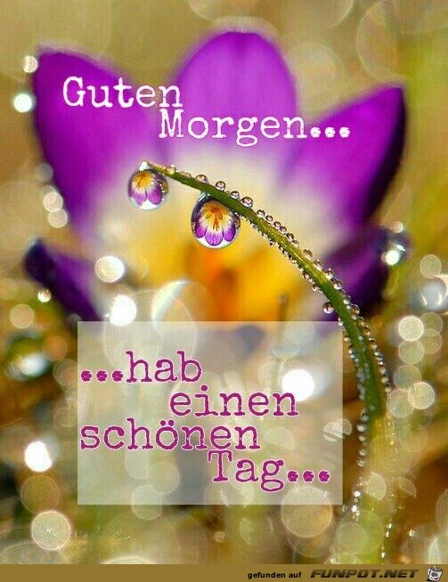 Guten Morgen Guten Morgen