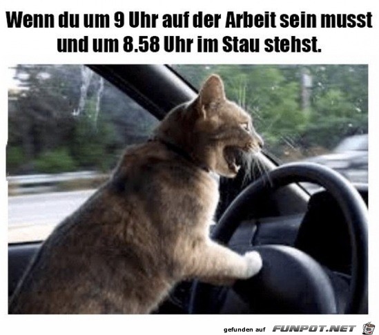 Im Stau Im Stau