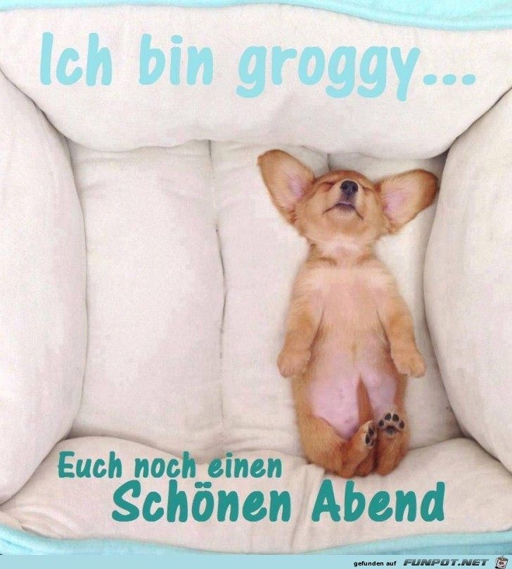 Groggy Groggy