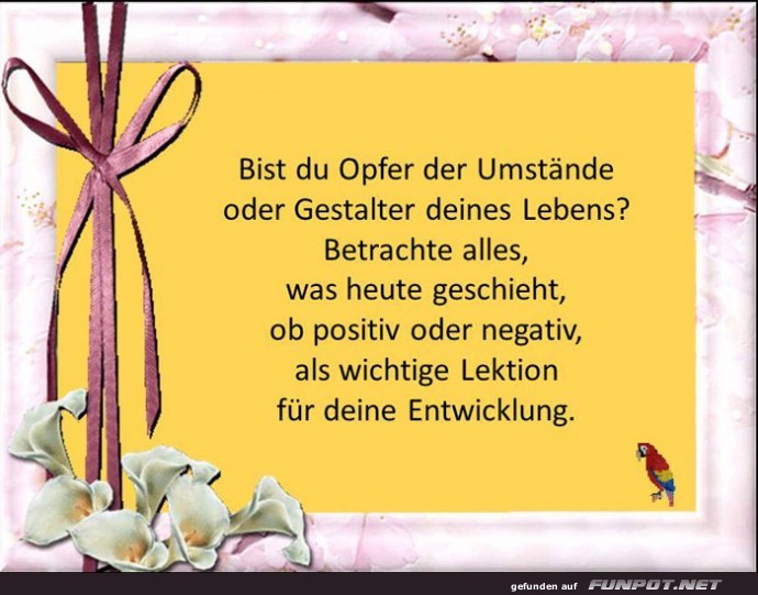 Bist du Opfer Bist du Opfer