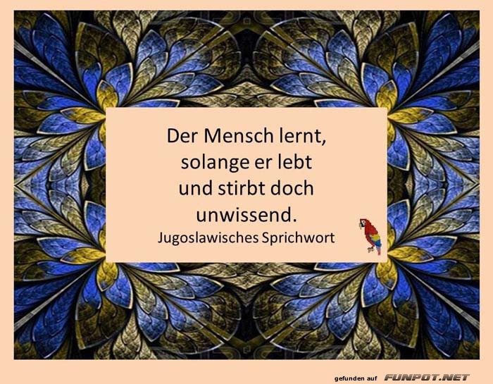 Der Mensch lernt Der Mensch lernt