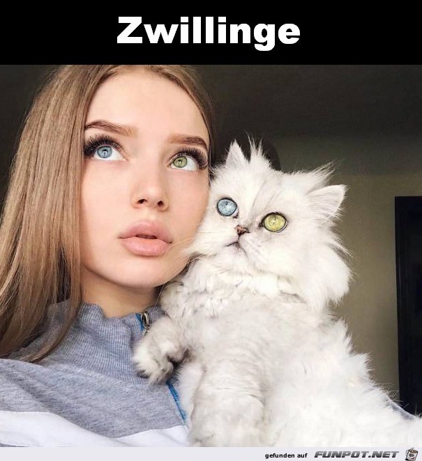 Zwillinge Zwillinge