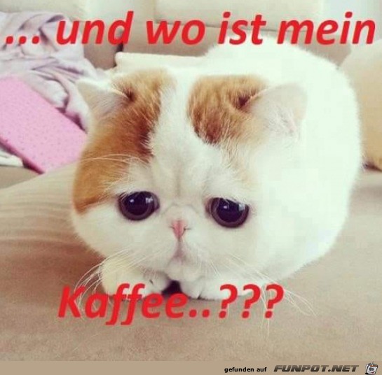 Kaffee her